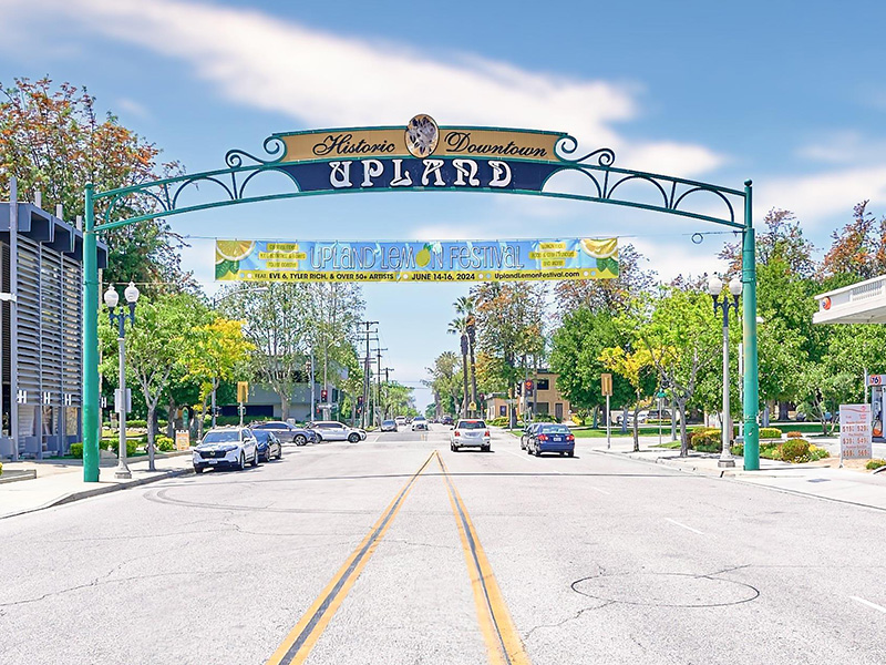 Upland